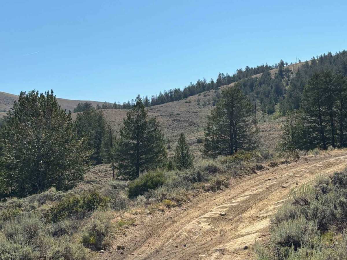 Little Wolford Mountain Access photo 4