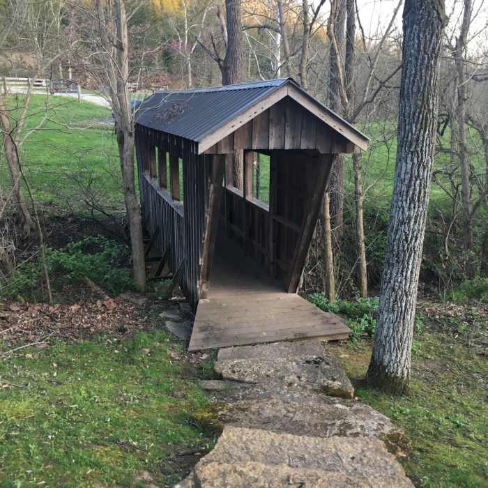 Near Joan Jones Portman Trail