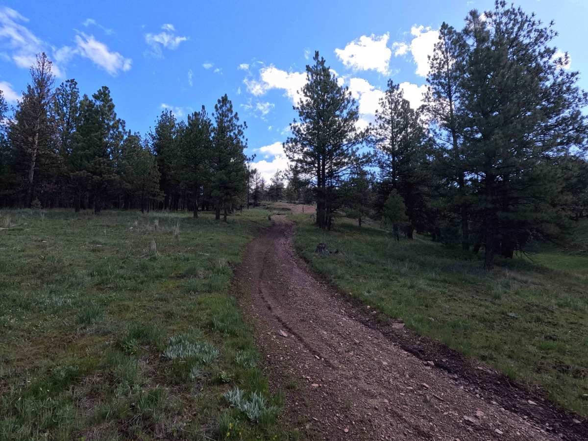 Trail 44 photo 6