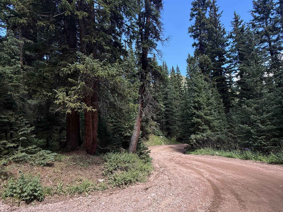 Silver Dollar Road photo 2
