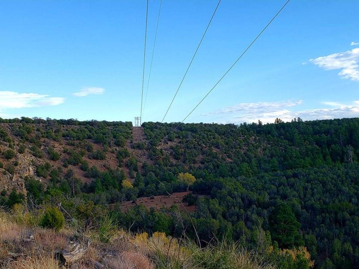 Cactus Flats photo 2