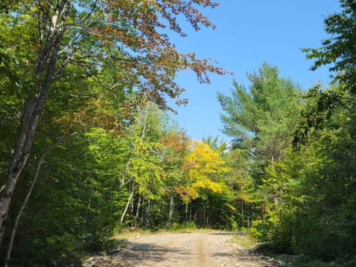 Greenwood Pond Trail photo 6