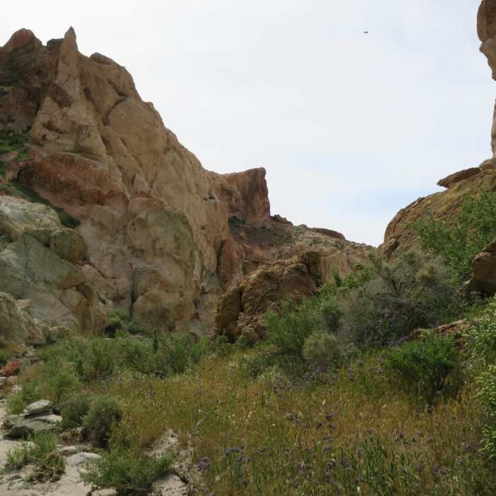 Near Owl Canyon