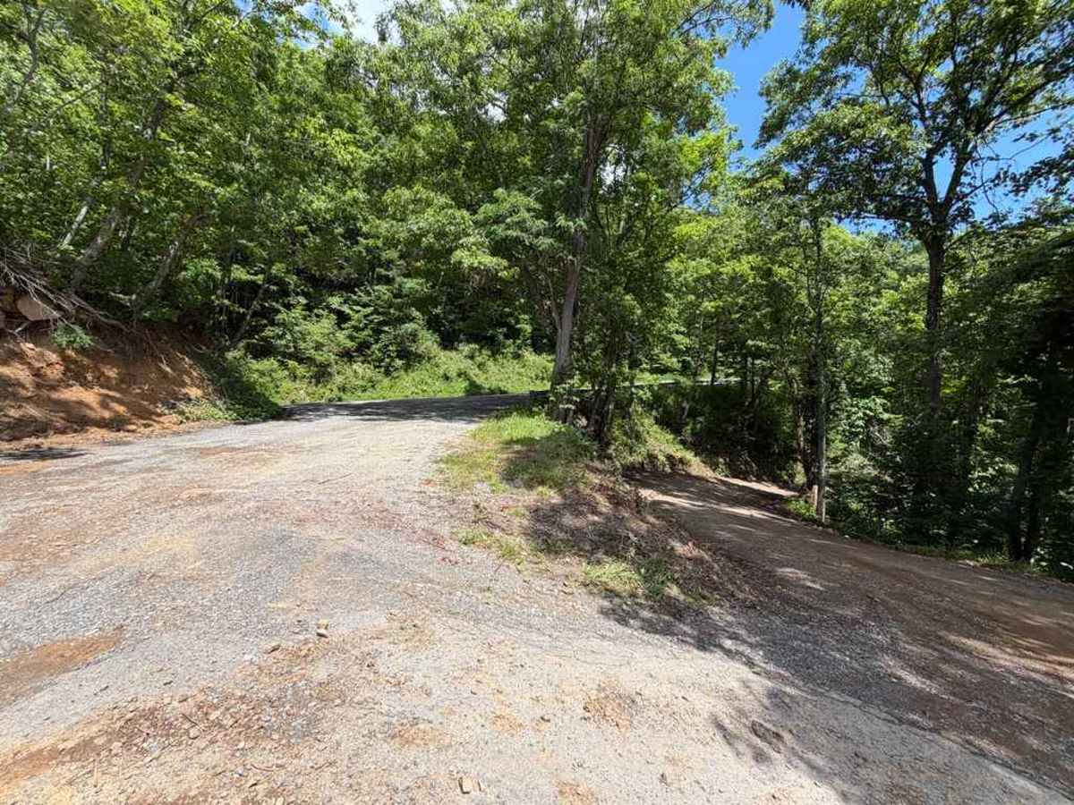 Poor Valley - FS 222 trail photo