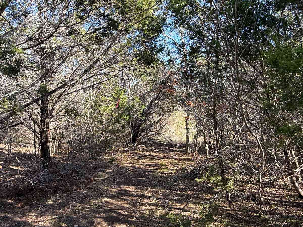 The Gallows trail photo