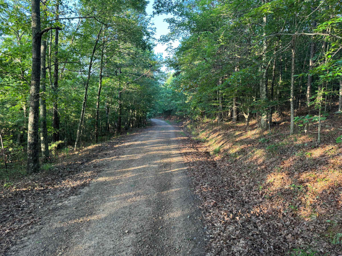Williams photo 4