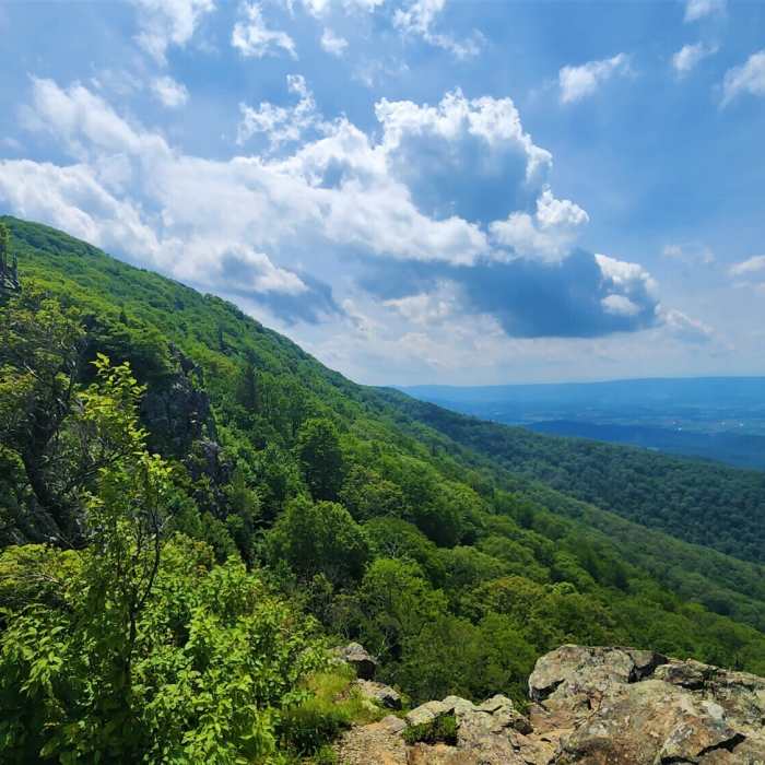 Near AT/Passamaquoddy/Furnace Springs Loop