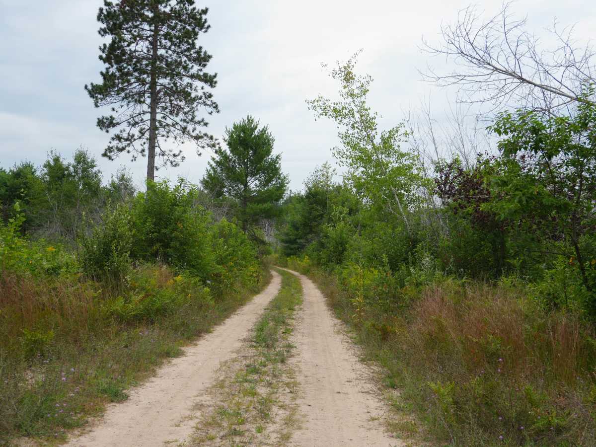 Sawdust Pile Trail photo 3