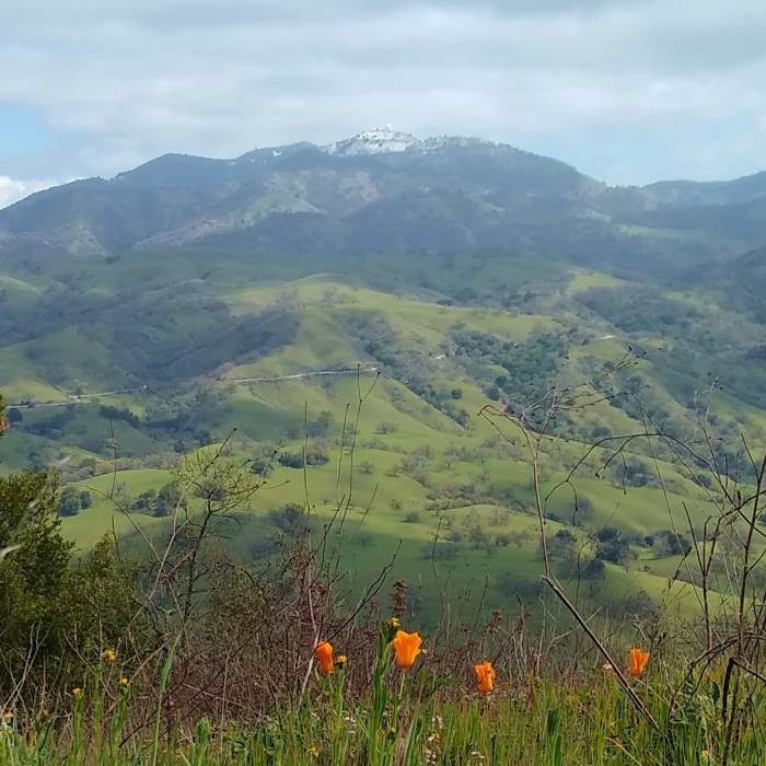 Near Dutch Flat Trail