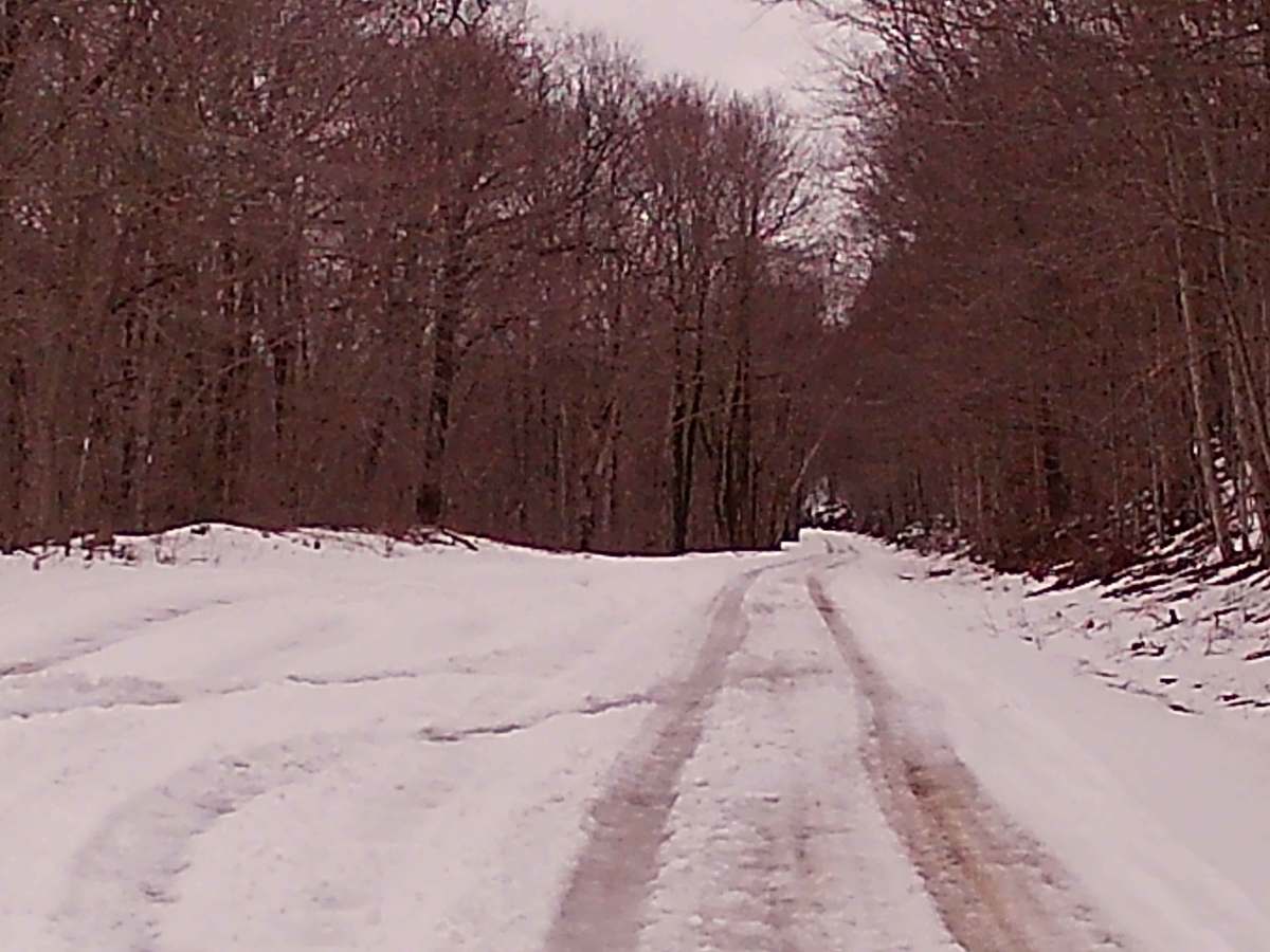 Mountain Spring Road trail photo