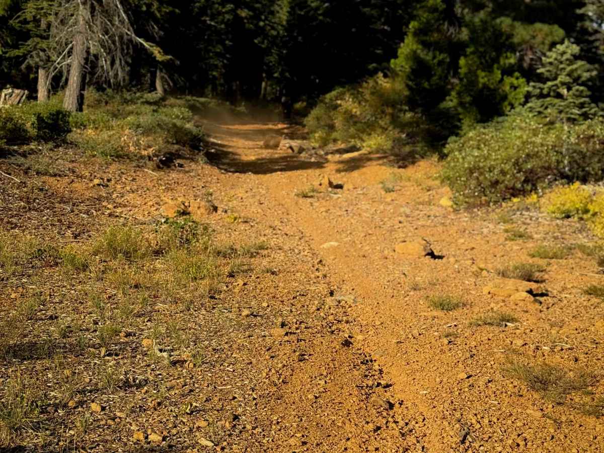 Grizzly Ridge  photo 2