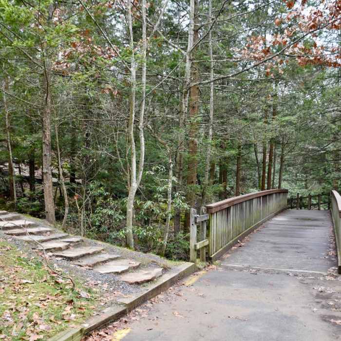 Near Audubon Loop Trail Near Audubon Loop Trail