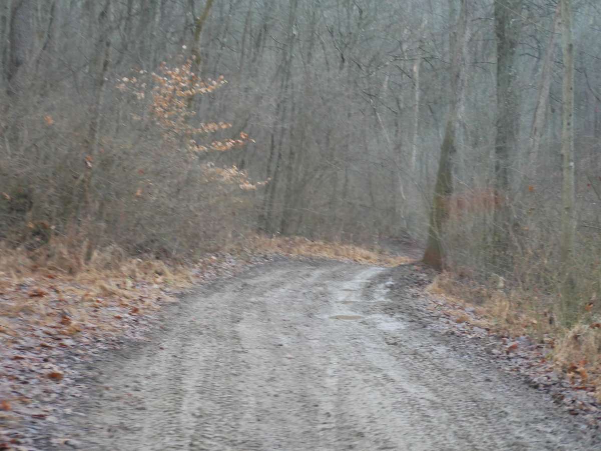 Trail 49 photo 3
