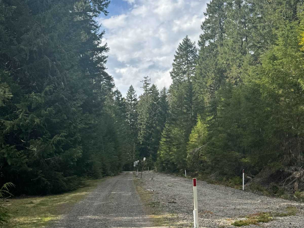 Cort Road- FS 1276 photo 2