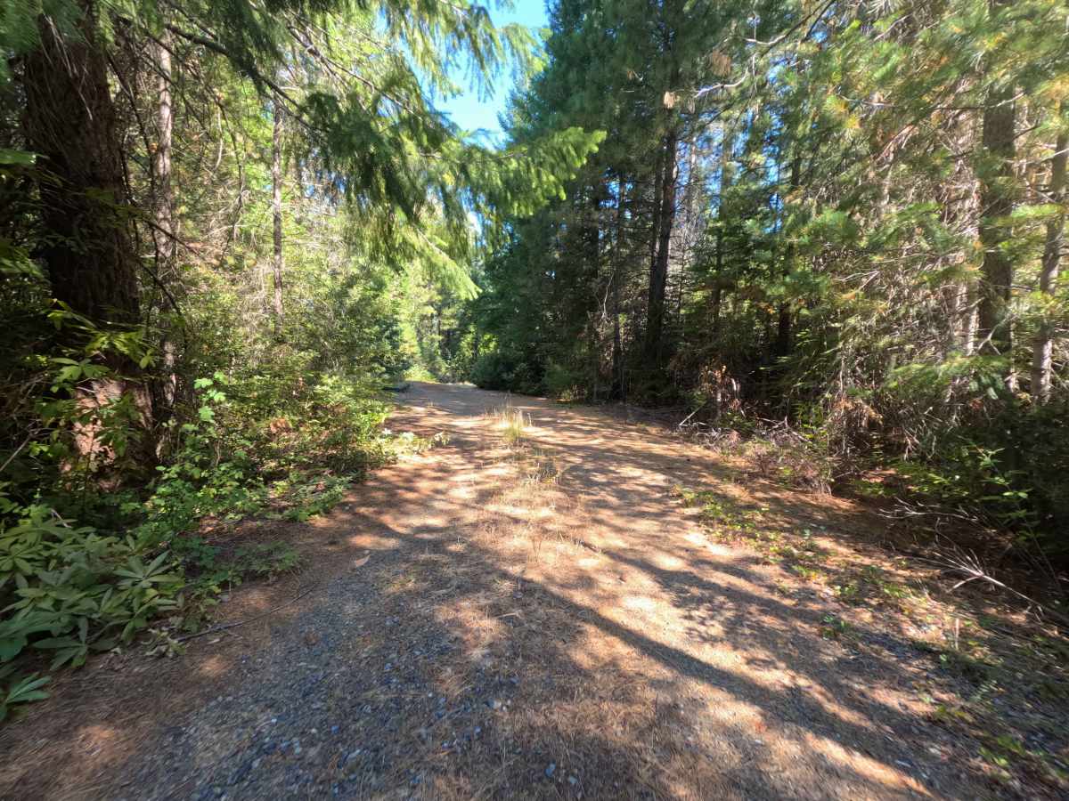 Harrison Ridge Spur A - FS 21N20A photo 4