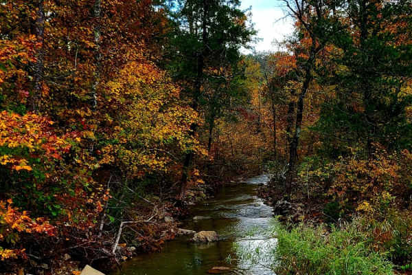 Cedar Creek Trail