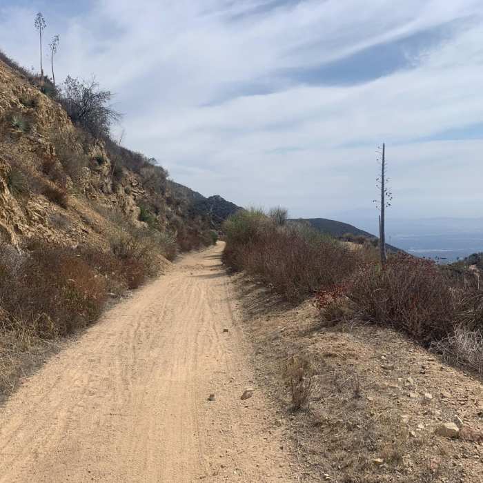 Near Chaney Trail Loop