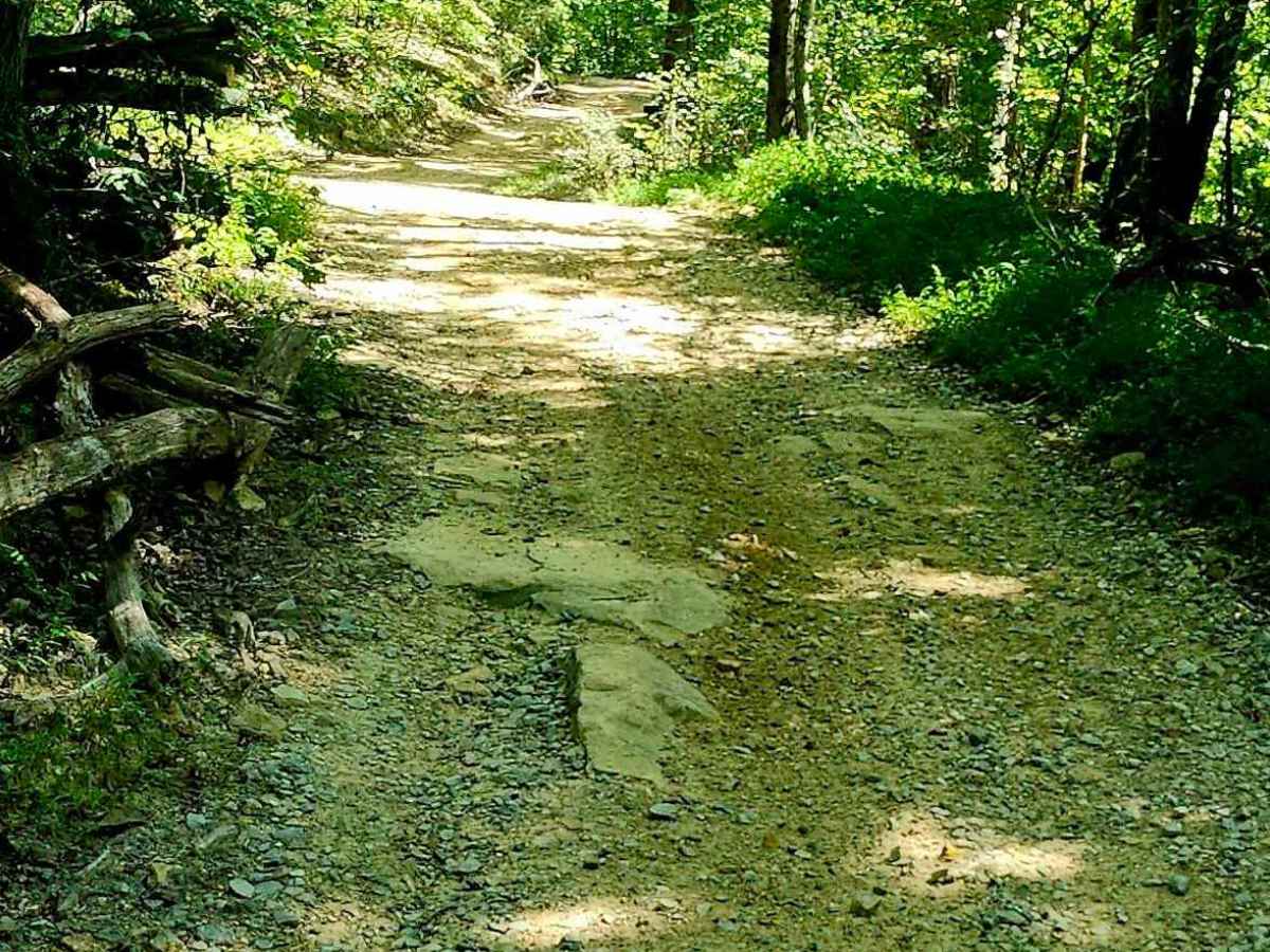 Short Creek Loop Road photo 2