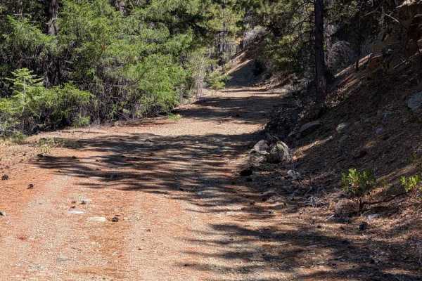 Smokey Creek Road - FS 29N49