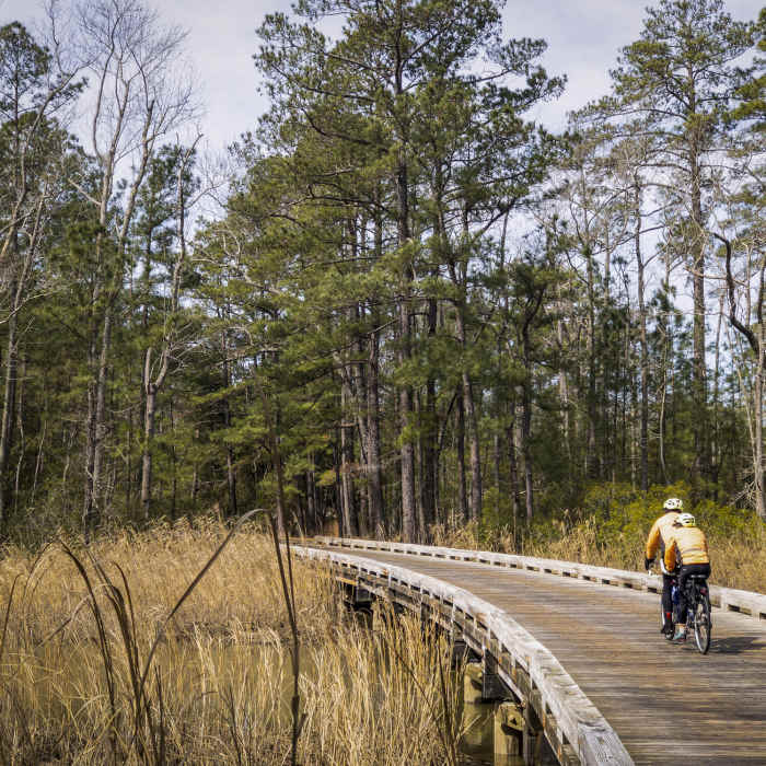 Wooden bridge facing west. Near Jamestown Island Loop
