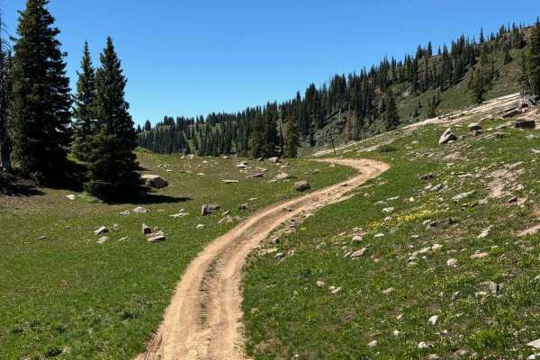 Burnt Ridge Road