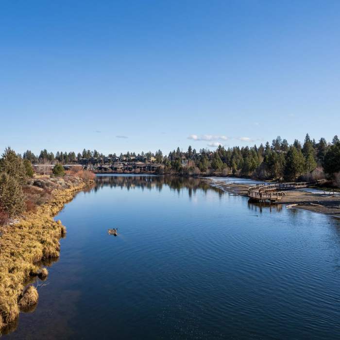 Near Deschutes River Trail (Loggers Loop) Near Deschutes River Trail (Loggers Loop)