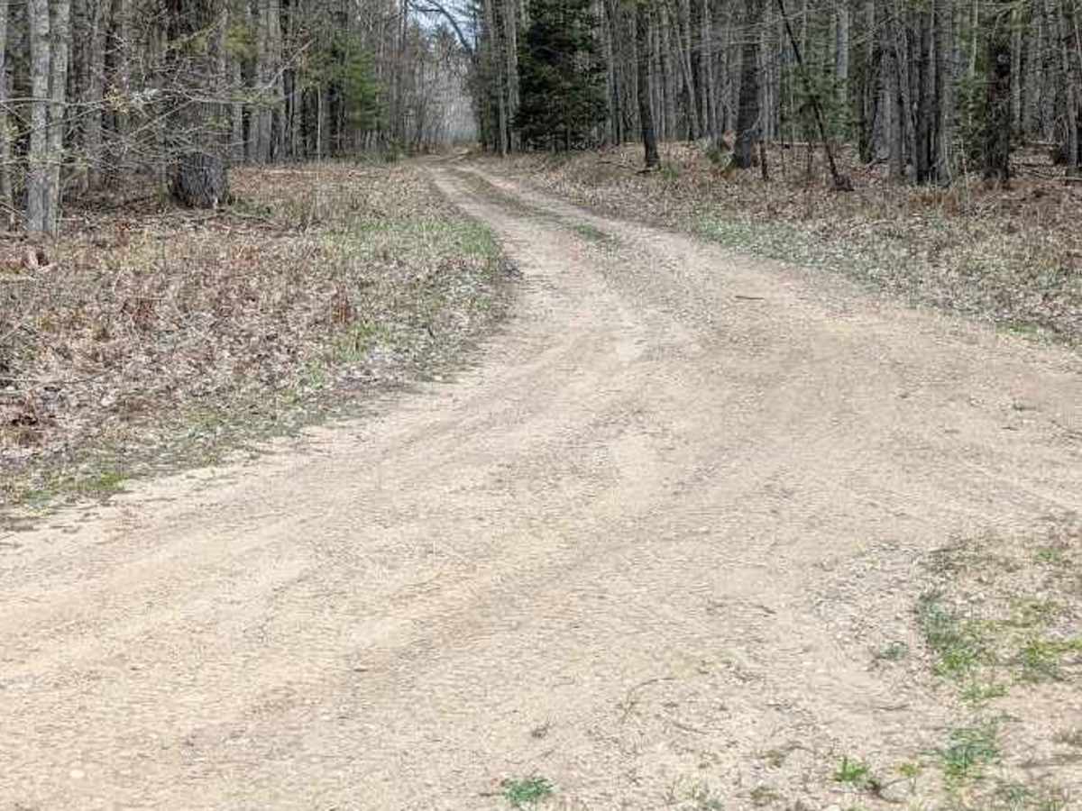 Reserve Loop photo 5