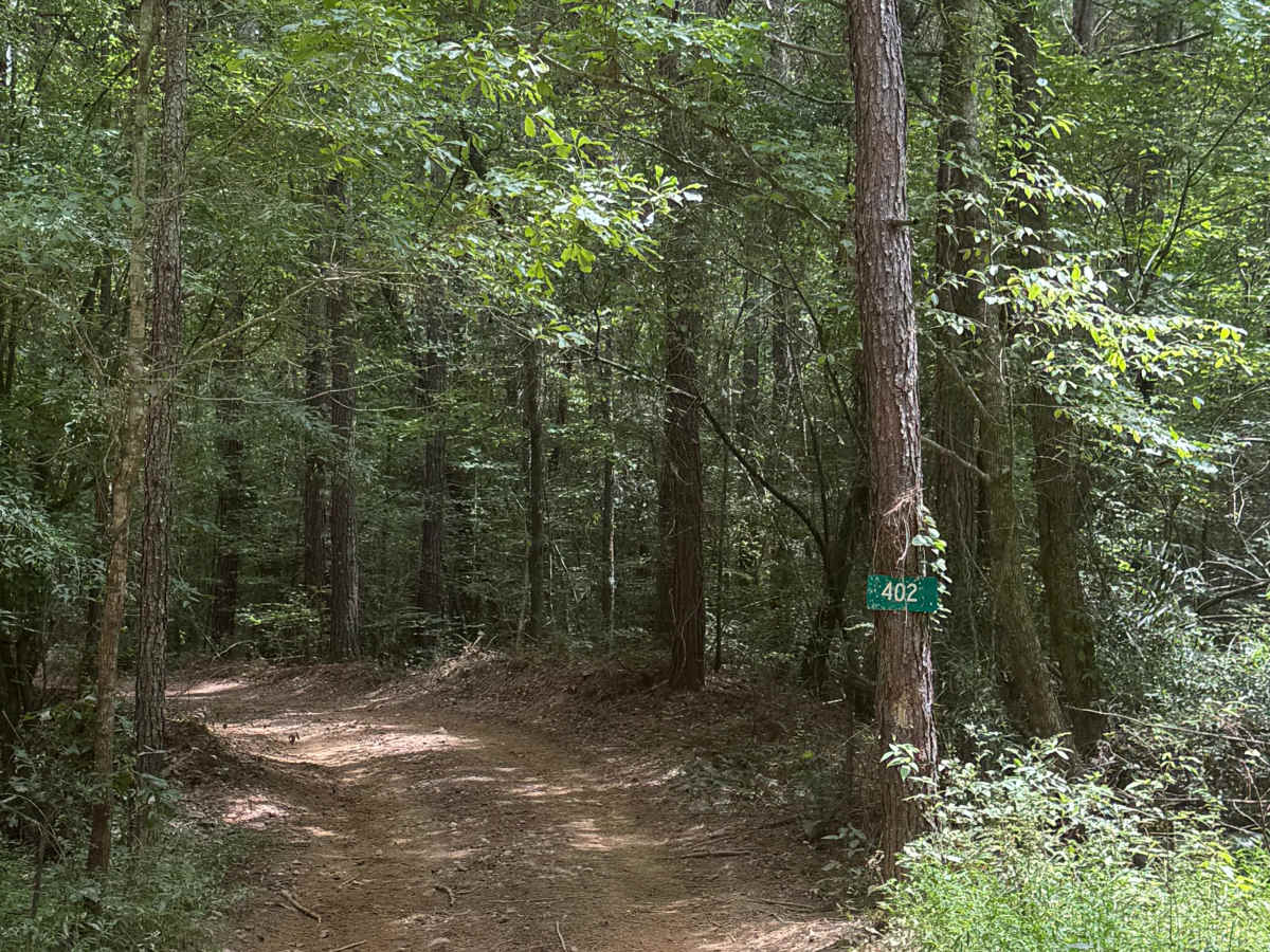 401C Mud photo 3