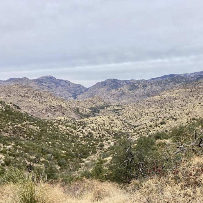 Near Thimble Peak via Sycamore Reservoir Trail