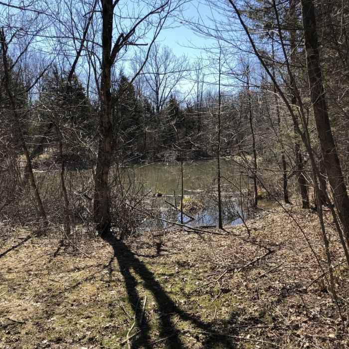 Near Spillway Overlook Trail