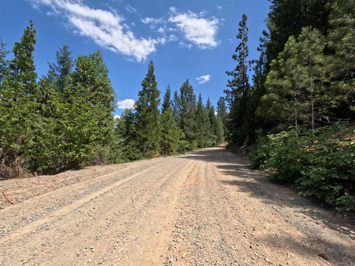 Buckeye Creek - FS 37N52 photo 6