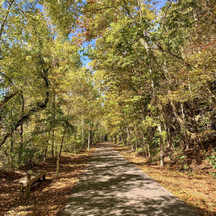 Near Cumberland River Bicentennial Trail Near Cumberland River Bicentennial Trail