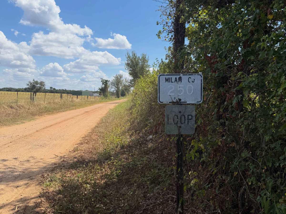 County Road 250 Loop photo 5