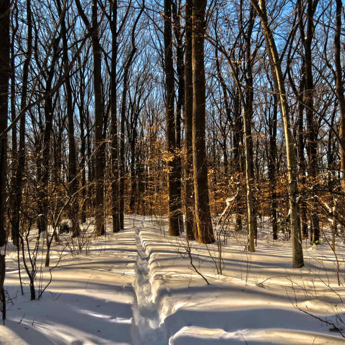 Near North Rock Creek Park 5K Loop