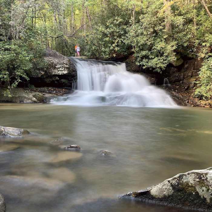 Near Hemlock Falls Near Hemlock Falls