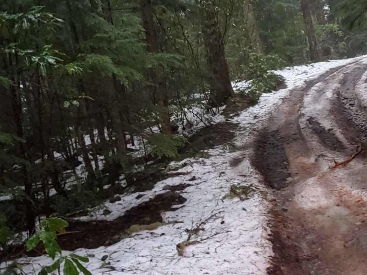 OHV Abbott Road Quarry photo 5