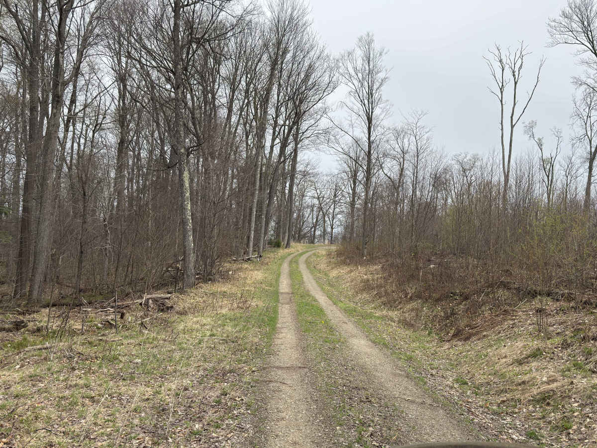 Morrison Run - FS 266 photo 3