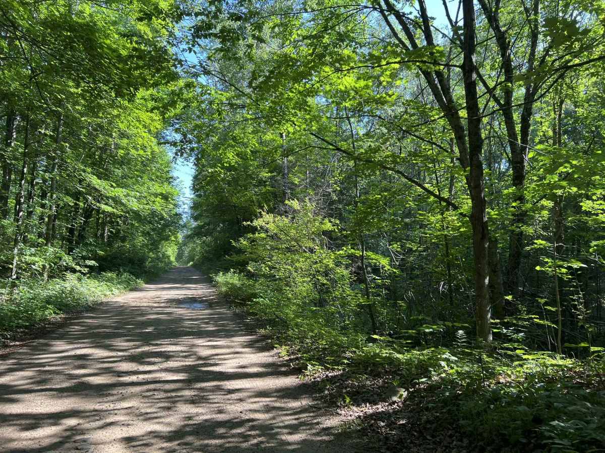 Deep Hole Lake Road photo 5
