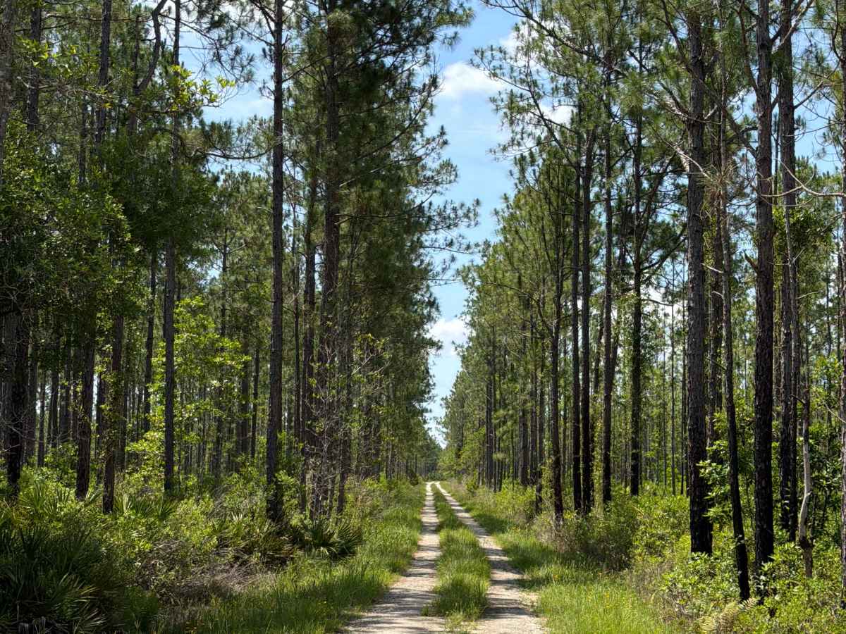 Quarters Road photo 5