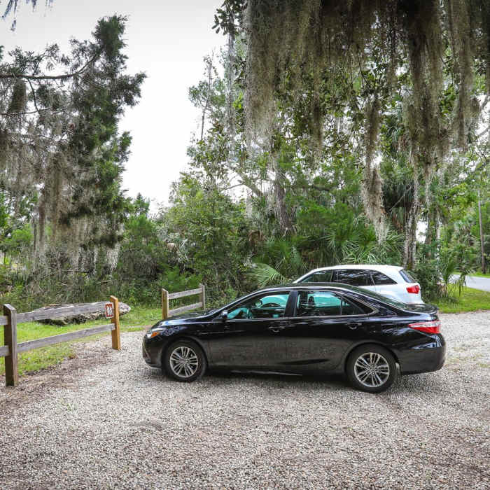 Near Crystal Cove Trail