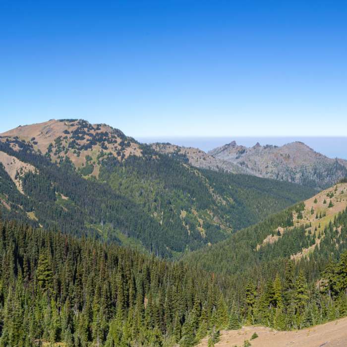 Near Cirque Rim Trail