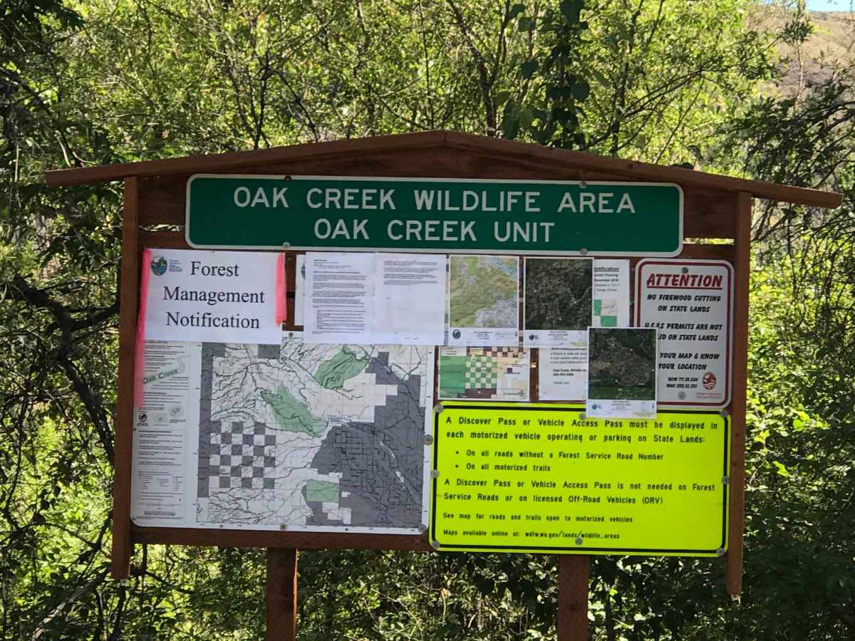Oak Creek FR 1400 to Bear Lake photo 3