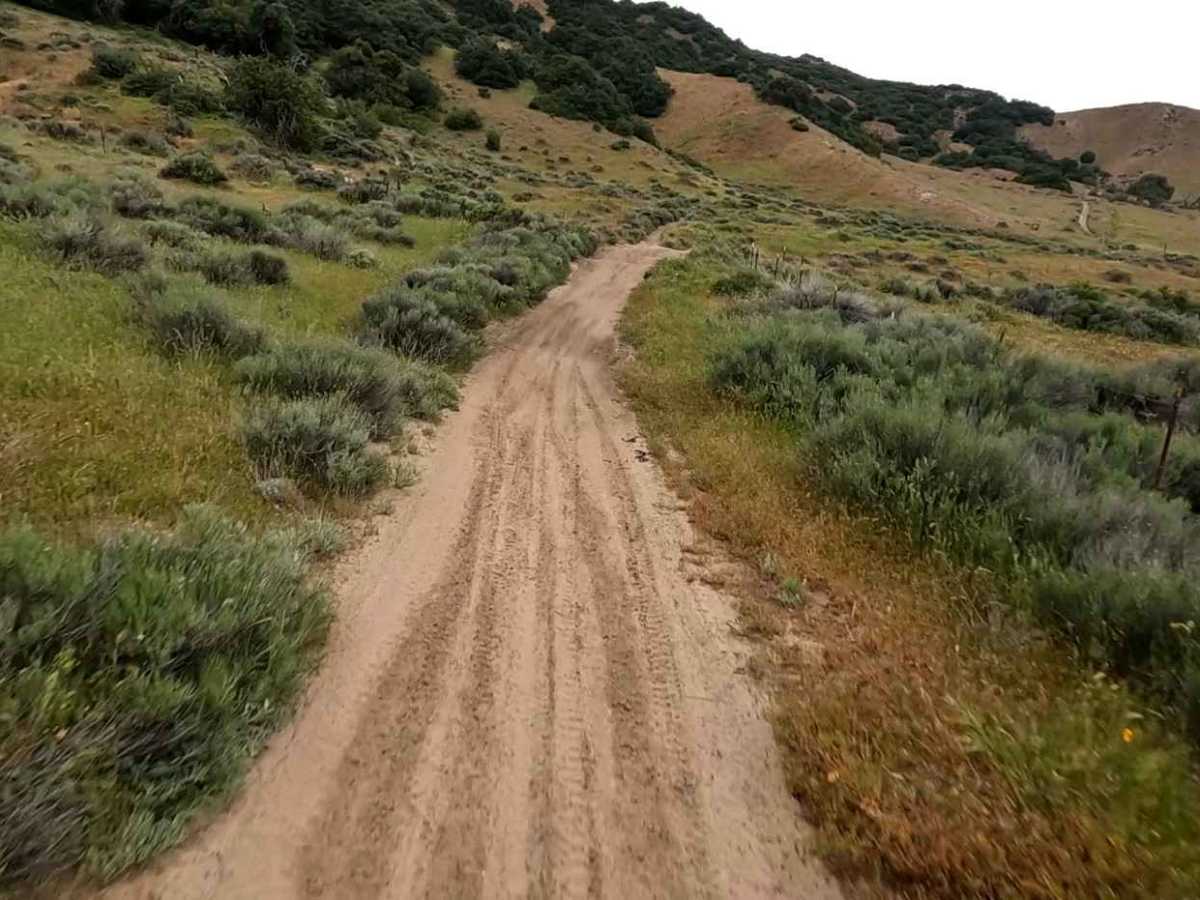 Brome Trail photo 3