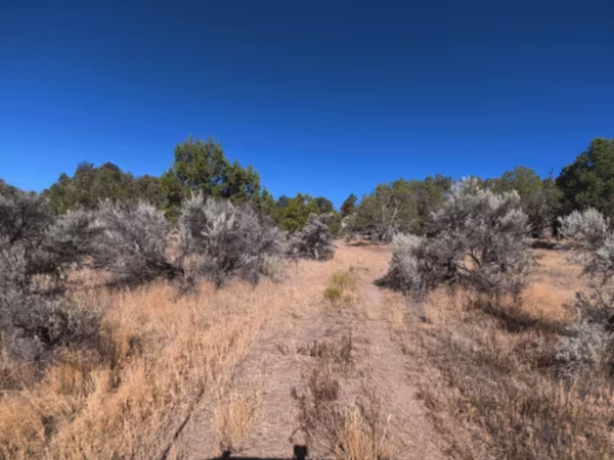 BLM 287A photo 2