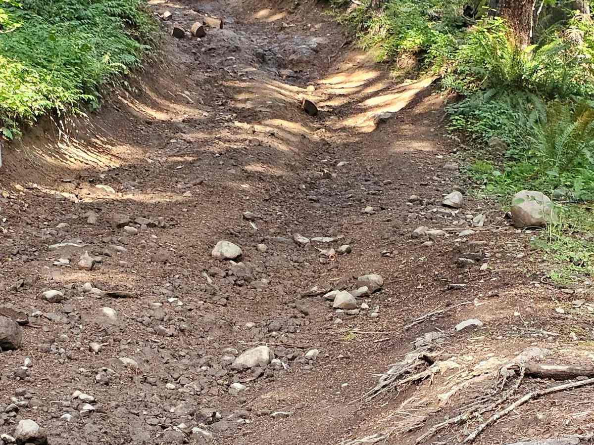 Inner Alder loop photo 6