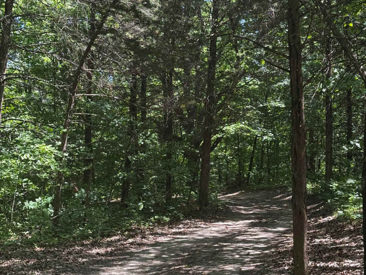 Inner Track 31 photo 2
