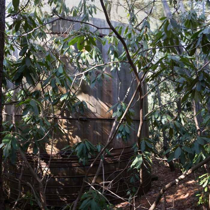 Near Sand Spring Trail