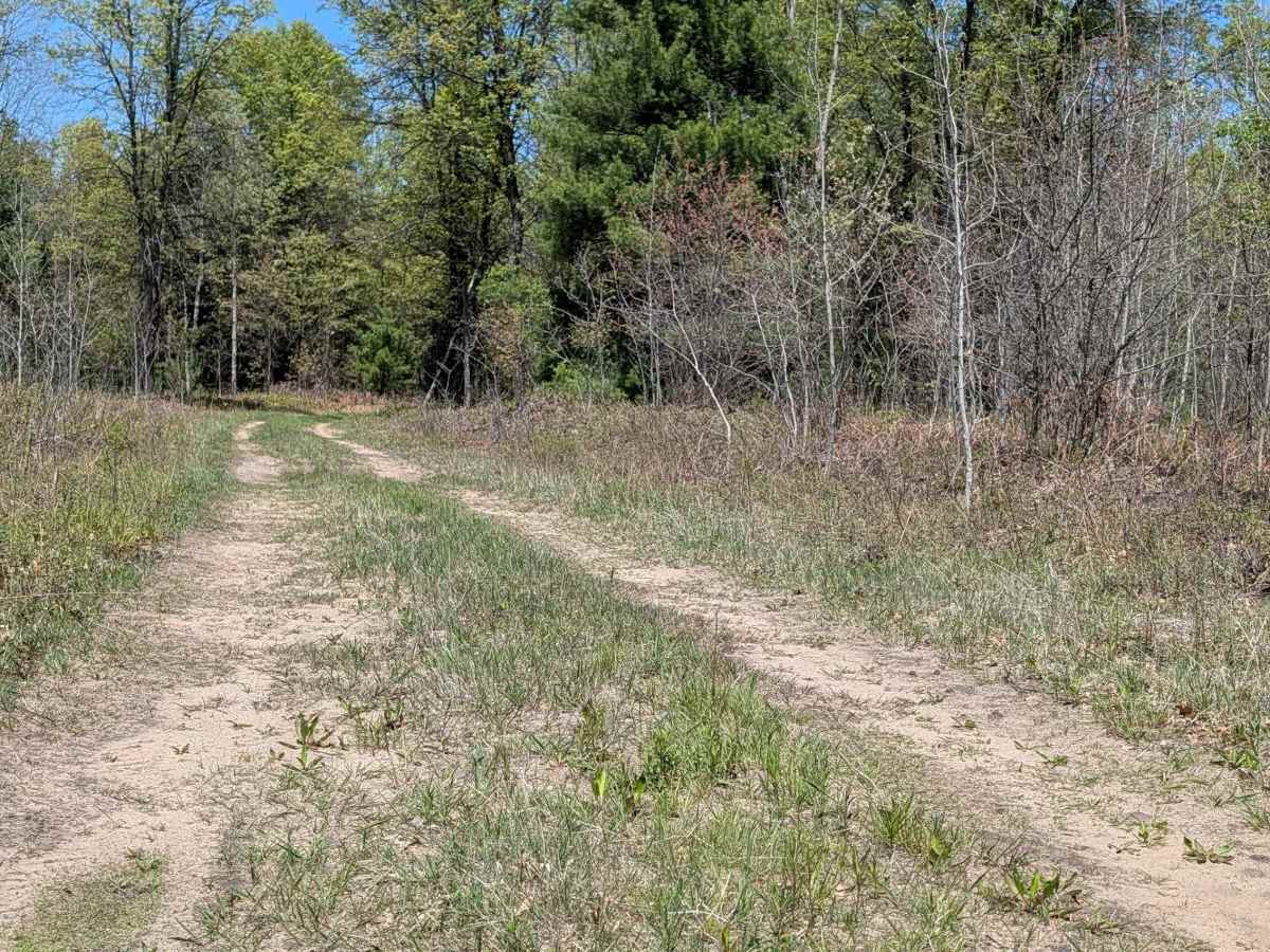 South Eddy Creek Trail photo 4