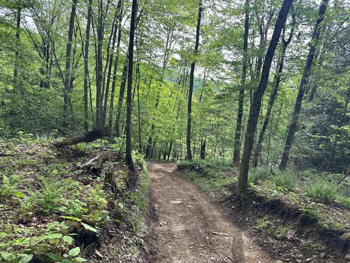 C Blue C6 trail photo