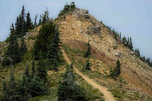 Jolly Mountain Trail - 1307
